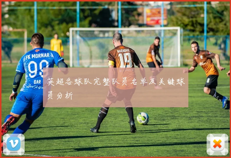 英超各球队完整队员名单及关键球员分析