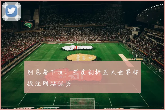 别急着下注！深度剖析五大世界杯投注网站优劣